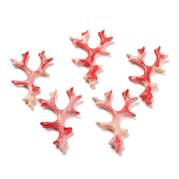 Synthetic Shell Dye… - image