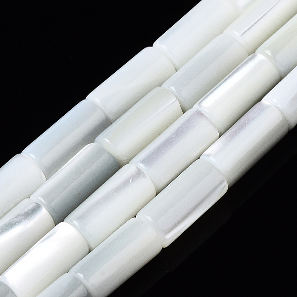 

PandaHall Natural Trochid Shell/Trochus Shell Beads Strands, Column, Bleach, Seashell Color, 10x5mm, Hole: 0.8mm, about 40pcs/strand, 15.75...