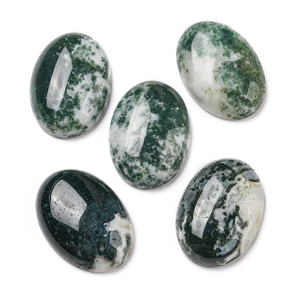 

PandaHall Natural Tree Agate Cabochons, Oval, 25x18~18.5x7mm Tree Agate Oval