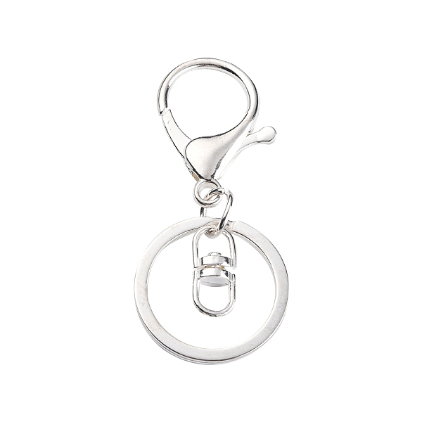 

PandaHall Iron Alloy Lobster Claw Clasp Keychain, Silver Color Plated, 68x30mm Iron Others Silver