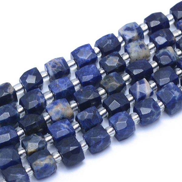 

PandaHall Natural Sodalite Beads Strands, Faceted, Cube, 7.5~9x7.5~9x7.5~9mm, Hole: 0.8mm, about 37pcs/strand, 15.35 inch(39cm) Sodalite...