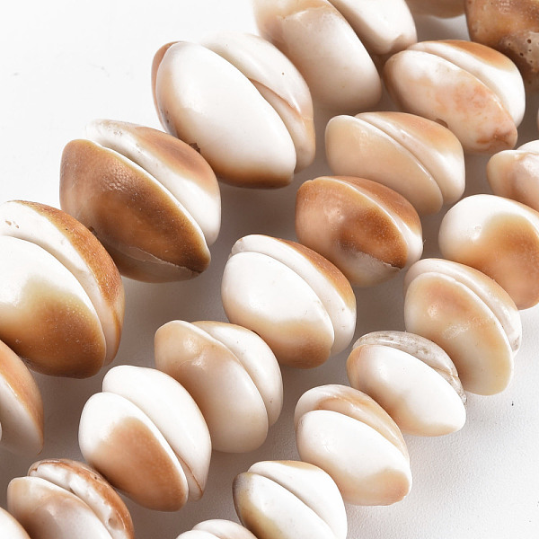 

PandaHall Natural Shell Beads Strands, Half Round, BurlyWood, 8~20x8~20x3~7mm, Hole: 1mm, about 28~54pcs/strand, 6.69 inch~7.09 inch..., Orange