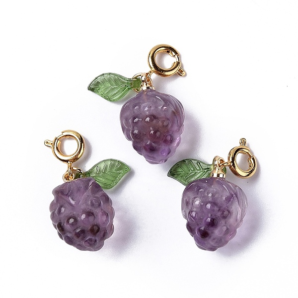 

PandaHall Natural Amethyst Grape Spring Ring Clasp Charms, Rack Plating Brass Spring Ring Clasps, Golden, 24mm, Grape: 16.5x12mm, Leaf...