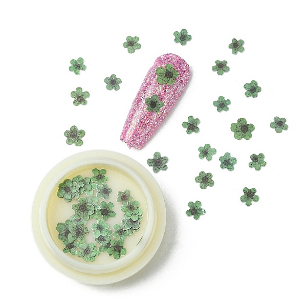 

PandaHall Paper Cabochons, Nail Art Decorations, Flower, Green, 5~7x5~7x0.1mm, 50pcs/box Paper Flower Green
