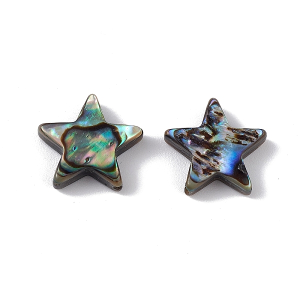 

PandaHall Natural Abalone Shell/Paua Shell Beads, Star, Colorful, 12.5x12.5x3.5mm, Hole: 0.9mm Paua Shell Star