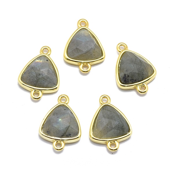 

PandaHall Natural Labradorite Links connectors, with Golden Tone Brass Findings, Triangle, Faceted, 17~18x11~13x4~6mm, Hole: 1.2mm...