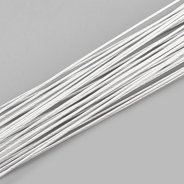 

PandaHall Round Iron Wire, Floral Wire, for Florist Flower Arrangement, Bouquet Stem Warpping and DIY Craft, WhiteSmoke, 22 Gauge, 0.6mm..., White