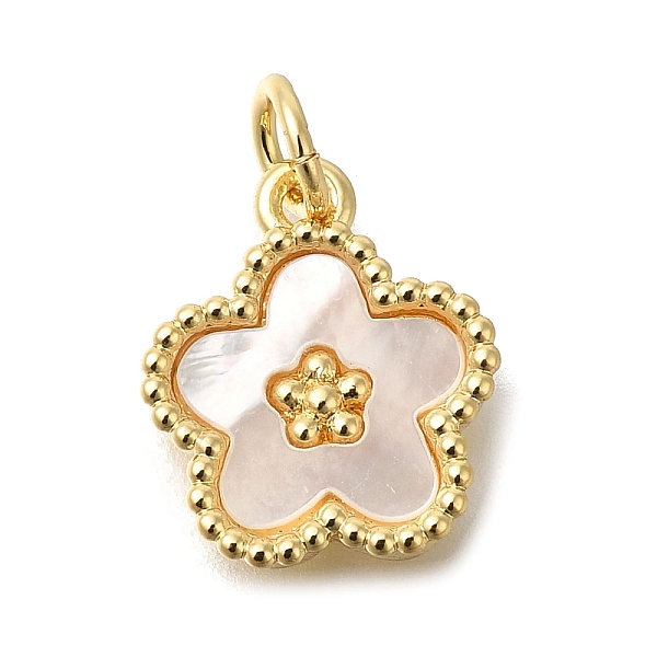 Brass Shell Pendants - image