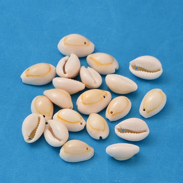 Natural Cowrie Shel… - image