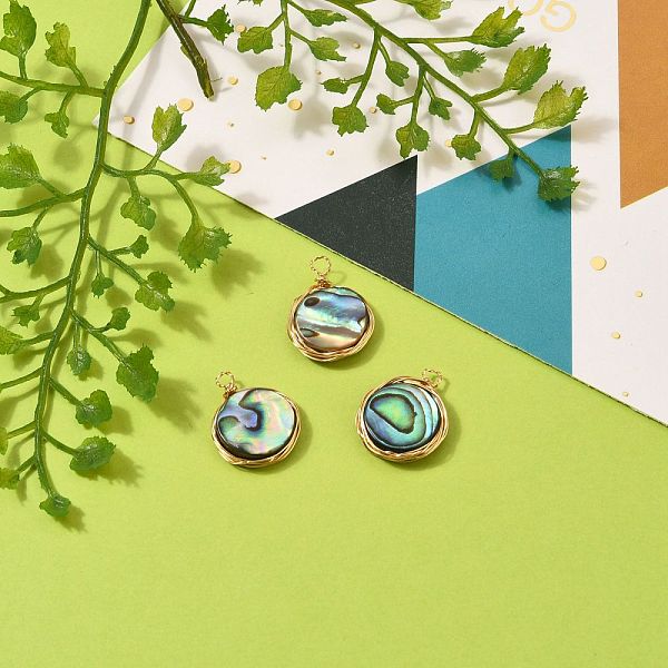 

PandaHall Natural Abalone Shell/Paua Shell Pendants, with Eco-Friendly Copper Wire Wrapped, Flat Round, Real 18K Gold Plated...