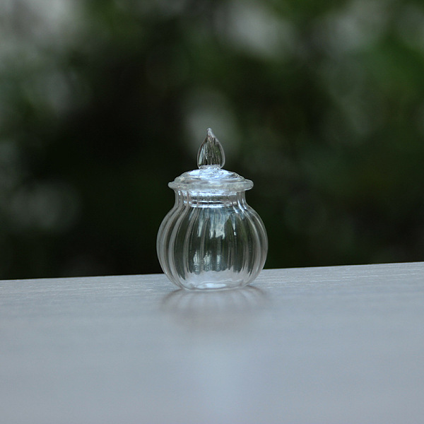 

PandaHall Mini Glass Jar, Micro Landscape Dollhouse Accessories, Pretending Prop Decorations, Clear, 25x25mm Glass Bottle Clear