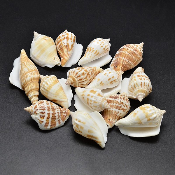 

PandaHall Natural Conch Shell Beads, Goldenrod, 30~55x20~35mm, Hole: 1~2mm, about 60~90pcs/500g Other Sea Shell Others Gold