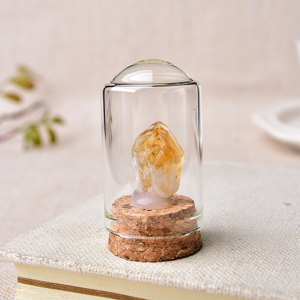 

PandaHall Raw Rough Natural Citrine Inside Decorative Display, with Jar Glass Dome Cover and Cork Base, 30x50mm Citrine Clear