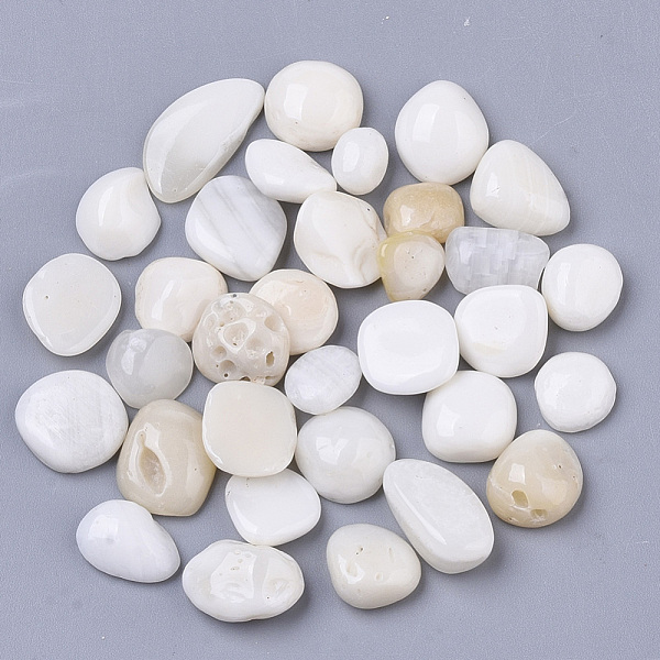 

PandaHall Sea Shell Beads, Undrilled/No Hole Beads, Chip, Seashell Color, 3~18x3~10x2~8mm Other Sea Shell Nuggets