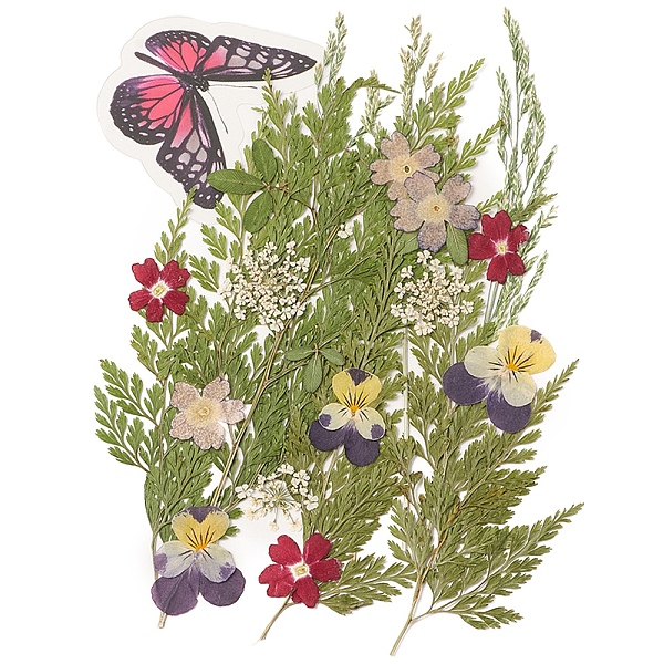 

PandaHall Pressed Dried Flowers, for Cellphone, Photo Frame, Scrapbooking DIY and Resin Art Floral Decors, 137x100x0.3mm Dried Flower Flower