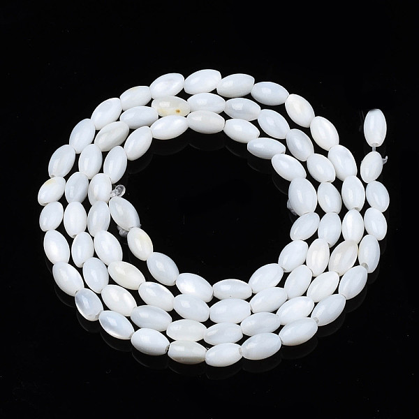 Natural Freshwater Shell Beads Strands