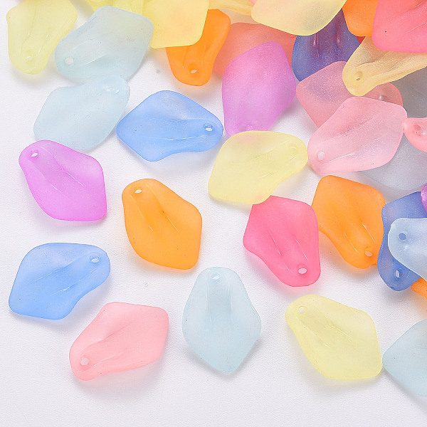 

PandaHall Transparent Frosted Acrylic Pendants, Petaline, Mixed Color, 24x17x4mm, Hole: 1.8mm Acrylic Petaline Multicolor