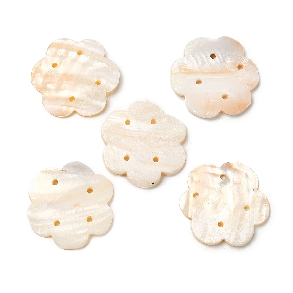 

PandaHall Natural Freshwater Shell Chandelier Component Links, Flower Connector, Flower, 42~43x44~45x3.5mm, Hole: 2.5mm Shell Flower