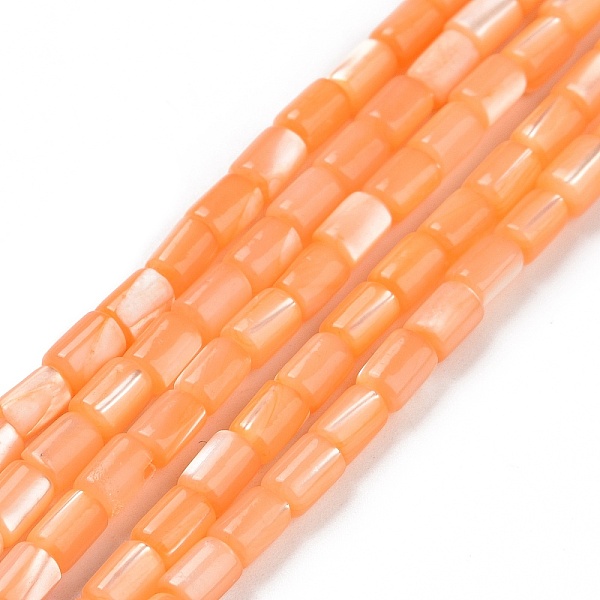 

PandaHall Natural Trochus Shell Beads Strands, Dyed, Column, Sandy Brown, 5x3mm, Hole: 0.8mm, about 82~83pcs/strand, 15.63''(39.7cm) Trochus...
