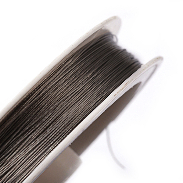 

PandaHall Tiger Tail Wire, Nylon-coated Stainless Steel, Original Color(Raw), Raw, 0.45mm, about 229.65 Feet(70m)/roll, 10 rolls/group..., Gray