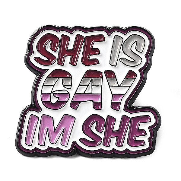 

PandaHall Word She Is Gay I'm She Lesbian Pride Rainbow Theme Enamel Pins, Black Zinc Alloy Brooch for Women, Word, 27.5x29.5x1.5mm...