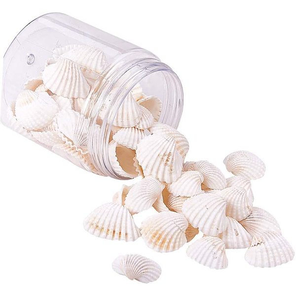 Shell Beads - image
