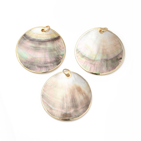 

PandaHall Natural Black Lip Shell Big Pendants, with Brass Jump Rings, Flat Round, Golden, 50x2mm, Hole: 6.5mm Black Lip Shell Flat Round..., Multicolor