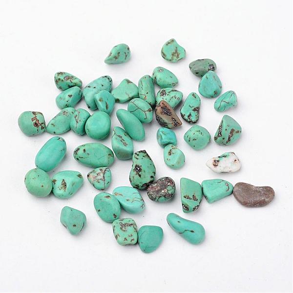 PandaHall Natural Howlite Beads, Dyed & Heated, Nuggets, Tumbled Stone, No Hole, Medium Sea Green, 4~10x4~6x2~4mm Howlite Nuggets Green