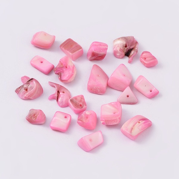 

PandaHall Natural Freshwater Shell Chips Beads, Shell Shards, Dyed, Misty Rose, 8~17x5~7x4~6mm, Hole: 1mm, about 640pcs/500g Freshwater..., Red