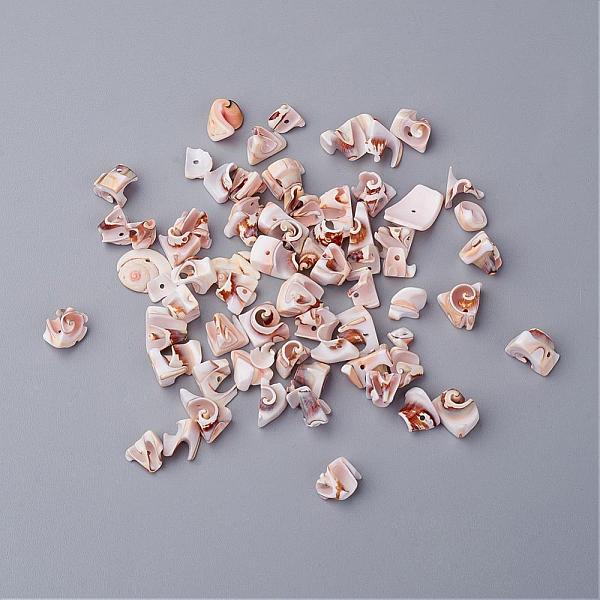 

PandaHall Natural Spiral Shell Beads, Dyed, PeachPuff, Size: about 6~9mm long, 10~16mm wide, 6~9mm thick, hole: 2mm, about 630pcs/500g..., Brown