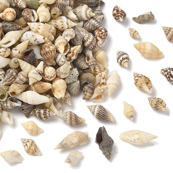 Natural Sea Shell B… - image
