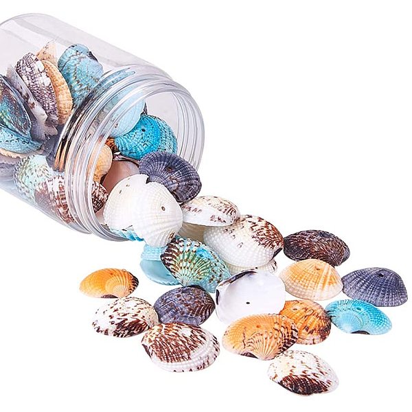 

PandaHall about 50~56 pcs Dyed Natural Conch Shell Beads Drilled Tiny Scallop Sea Shells Ocean Beach Seashells Craft Charms for Candle..., Multicolor