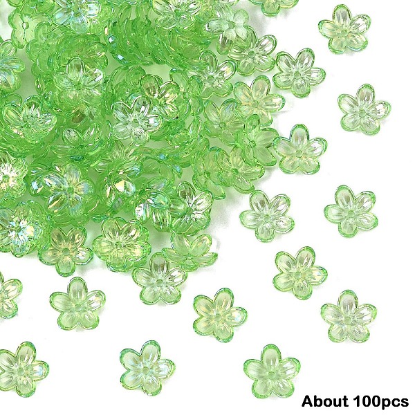 15g Transparent Acrylic Bead Caps