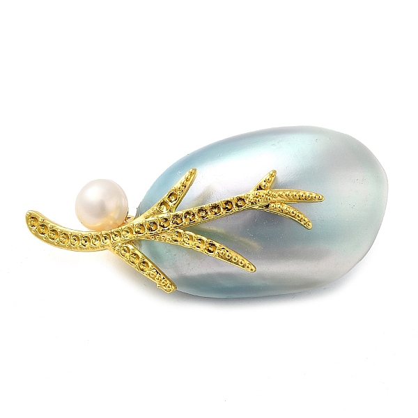 

PandaHall Oval Natural Dyed White Shell Brooches for Women, with Brass Pin & Pearl, Real Gold Plated, Sky Blue, 24~24.5x49.5~57x14~18.5mm...
