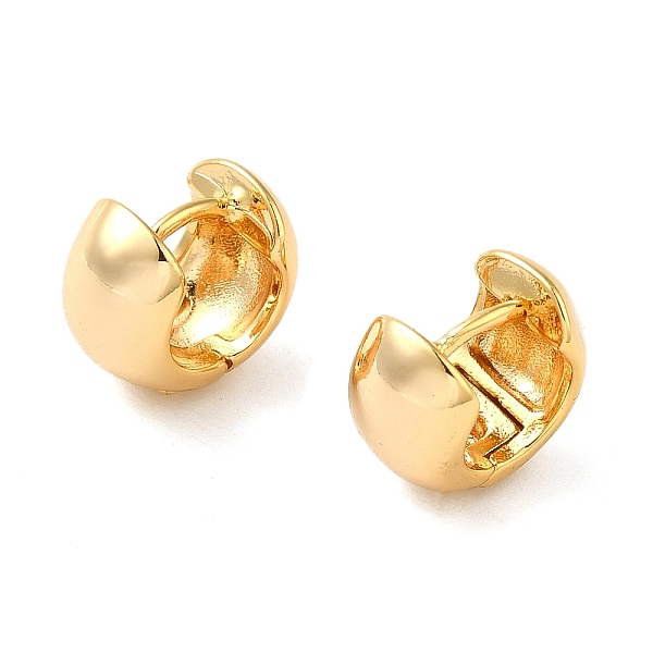 Brass Earrings - image