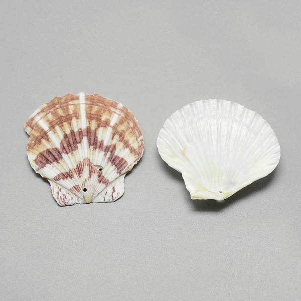 

PandaHall Sea Shell Big Pendants, Saddle Brown, 45~62x48~66x4~8mm, Hole: 1.5mm, about 75pcs/500g Other Sea Shell Shell Shape Brown