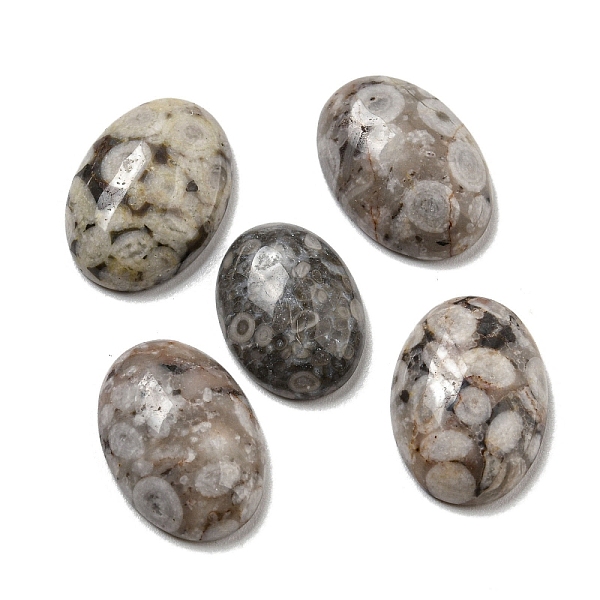 

PandaHall Natural Maifanite Cabochons, Oval, 18x13x5~5.5mm Maifanite Oval
