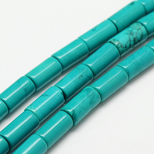 

PandaHall Column Natural Magnesite Beads Strands, Dyed & Heated, Turquoise, 16x8mm, Hole: 1mm, about 25pcs/strand, 15.7 inch Magnesite..., Green