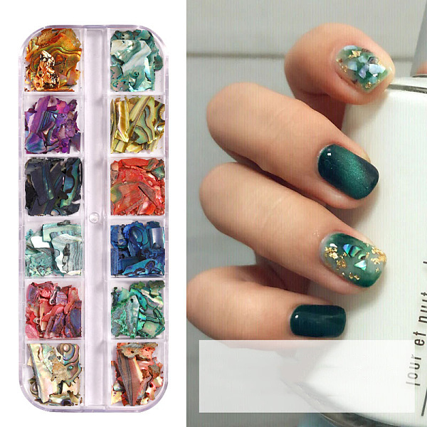 PandaHall Shell Slices, Manicure Nail Art Decoration Accessories, Mixed Color, 12colors/box Shell Nuggets Multicolor