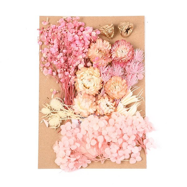 PandaHall Dried Flower, for Bridal Shower, Wedding, Preserved Fresh Flower, Pink, 210x148x14~24.5mm Dried Flower Pink