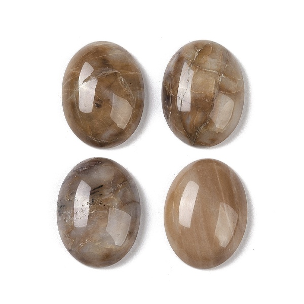 

PandaHall Natural Multi-Color Agate Cabochons, Oval, 20~20.8x15~15.5x5.8~6.5mm Multi-Color Agate Oval