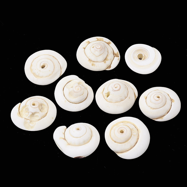 

PandaHall Natural Shiva Eye Shell Beads, 15~20x14~18x5~10mm, Hole: 1mm Shiva Eye Shell Shell Shape