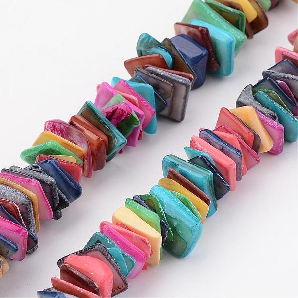 Natural Shell Bead … - image