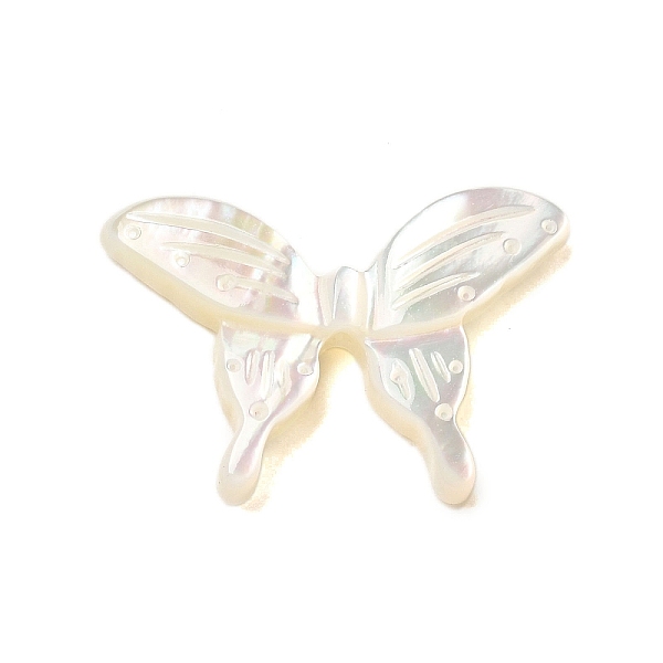 

PandaHall Natural White Shell Beads, Butterfly, WhiteSmoke, 13x20x3mm, Hole: 1mm White Shell Butterfly White