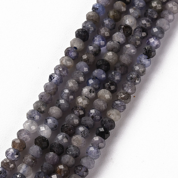 

PandaHall Natural Tanzanite Beads Strands, Rondelle, Faceted, 3x2mm, Hole: 0.5mm, about 188~190pcs/strand, 15.35inch(39cm) Tanzanite...