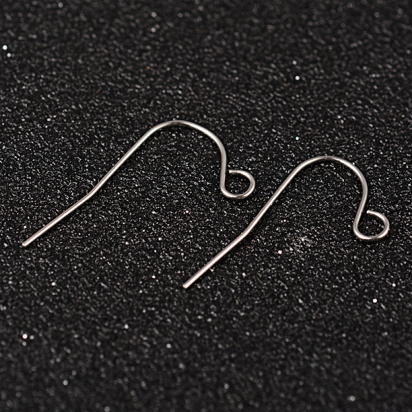

PandaHall 304 Stainless Steel Earring Hook Jewelry Findings, with Horizontal Loop, Stainless Steel Color, 22x12mm, Hole: 2mm, 21 Gauge, Pin...