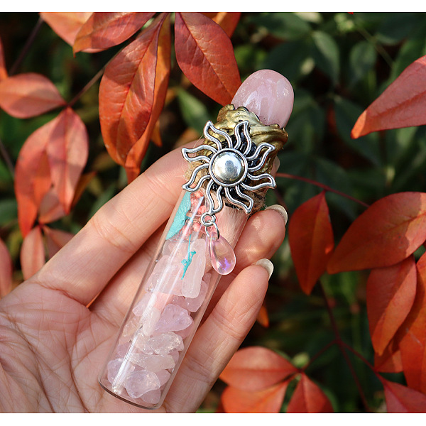 

PandaHall Natural Labradorite Display Decorations, for Home Decoration, Wishing Bottle, 120x25mm Rose Quartz Bottle