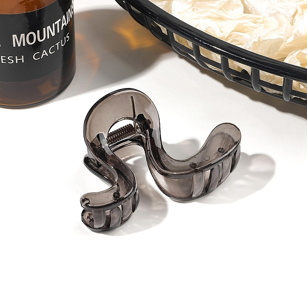 Resin Claw Hair Cli… - image