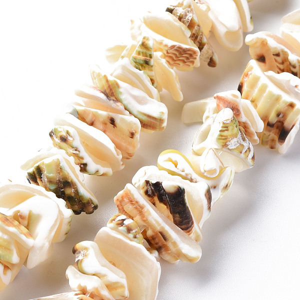 

PandaHall Natural Spiral Shell Bead Strands, Nuggets, 10~23x7~14x3~10mm, Hole: 1.2mm, about 43~44pcs/strand, 6.69 inch~6.89 inch(17~17.5cm)...