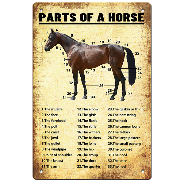 PandaHall GLOBLELAND Horse Knowledge Vintage Metal Tin Sign Plaque Poster Retro Metal Wall Decorative Tin Signs 8×12inch for Home Kitchen...